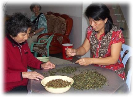 En Jie & Oolong tea growers
