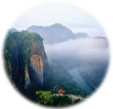 Buy Wu Yi Oolong tea