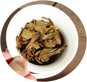 Pu-erh tea wet leaves
