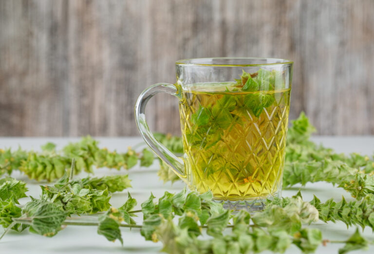 Is Ok to drink green tea every day?